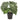 Anthurium Bush - Potted - Artificial