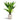 Asplenium Fern - Potted - Artificial
