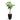Ben Natural Planter - Large Plant Display