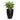 Ben Natural Planter - XL Plant Display