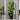 Bucket Natural Planter - XL Plant Display