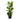 Bucket Natural Planter - XL Plant Display