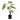 Caladium - Green Yellow - Potted - Artificial