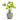 Caladium - Green Yellow - Potted - Artificial
