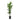 Dracaena deremensis Art - Multi Stem