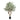Olive Botanic Tree - Potted - Artificial