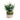 Eucalyptus Bush - Potted - Artificial