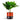 Fatsia - Japanese Aralia - Potted - Artificial