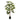 Fatsia japonica - Potted - Artificial