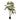Fatsia japonica - Potted - Artificial