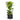 Grigio Cylinder Planter - Large Plant Display