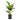 Ficus lyrata - Mini Fiddle Leaf Fig - Potted - Artificial