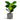Ficus lyrata - Mini Fiddle Leaf Fig - Potted - Artificial