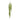 Ficus pumila Hanging Bush - Light Green -  Artificial
