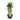 Gradient Couple Planter - XXL Plant Display