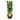 Gradient Couple Planter - XL Plant Display