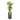 Gradient Cylinder Planter - XL Plant Display
