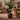 Gradient Cylinder Planter - Medium Plant Display