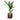 Gradient Cylinder Planter - Medium Plant Display