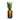 Gradient Cylinder Planter - Large Plant Display