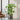 Grigio Cube Planter  - Large Plant Display