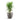 Grigio Egg Pot - XL Plant Display