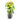 Grigio Tall Balloon - XL Plant Display