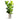 Grigio Tall Egg Pot - XL Plant Display
