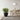 Jesslyn Natural Planter - Medium Plant Display