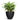 Jesslyn Natural Planter - Medium Plant Display