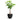 Jesslyn Natural Planter - Large Plant Display