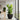 Jesslyn Natural Planter - XL Plant Display