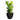 Jesslyn Natural Planter - XL Plant Display