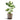 Monstera Bush - Variegated Swiss Cheese Plant - Potted - Artificial
