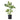 Monstera Bush - Variegated Swiss Cheese Plant - Potted - Artificial