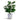Monstera - Bushy Swiss Cheese Plant - Potted - Artificial