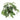 Monstera - Monkey Mask - Potted - Artificial