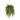 Nephrolepis Hanging Bush - Artificial