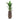 Opus Hit Tall Darcy Planter - Large Plant Display
