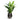 Opus Hit Darcy Planter - XL Plant Display