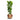 Opus Raw Couple Planter - XL Plant Display