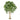 Pachira Multi Trunk Botanic Tree - Artificial