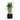 Patt Natural Planter - XL Plant Display