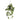 Philodendron Hanging Bush - Potted - Artificial