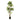 Polyscias Roble Tree - Potted - Artificial