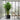 Raindrop Cube Planter - XL Plant Display