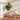 Raindrop Egg Planter - Large Plant Display