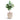 Raindrop Egg Planter - Large Plant Display
