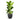 Raindrop Egg Planter - XL Plant Display