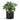 Raindrop Round Planter - Large Plant Display